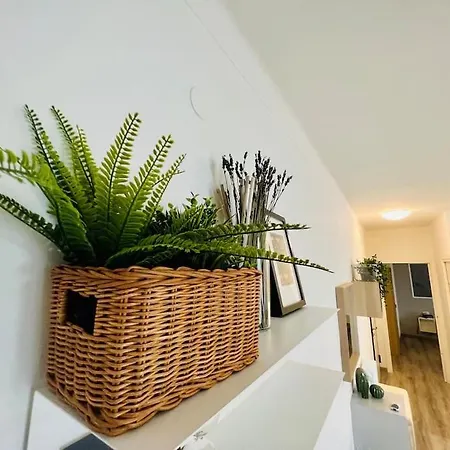 In Centro, Silenzioso E Balcone 公寓 圣雷默